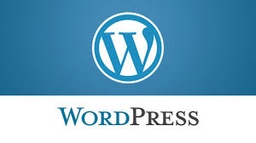 WordPress Developer Hosting